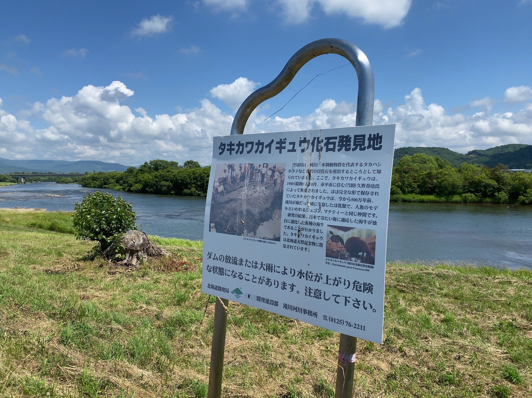 Takikawa Kaigyu Kaseki Hakkenchi