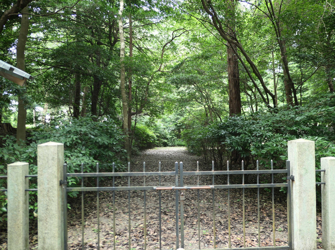 Inoyagu Shrine景点图片