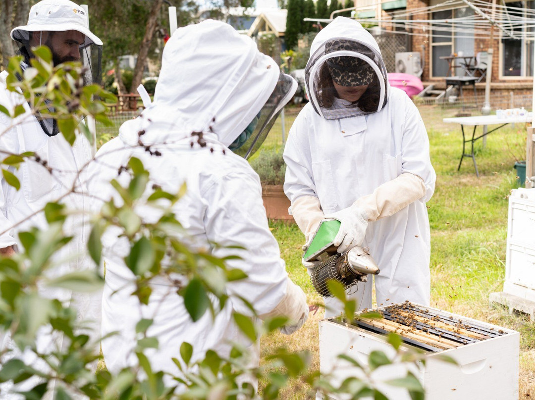 Beekeeping Class Newcastle - Hands On景点图片