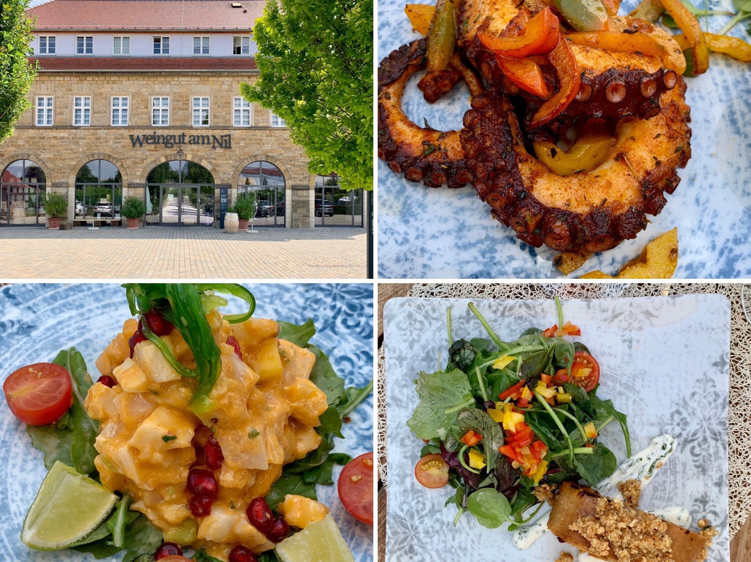 Weingut am Nil主图