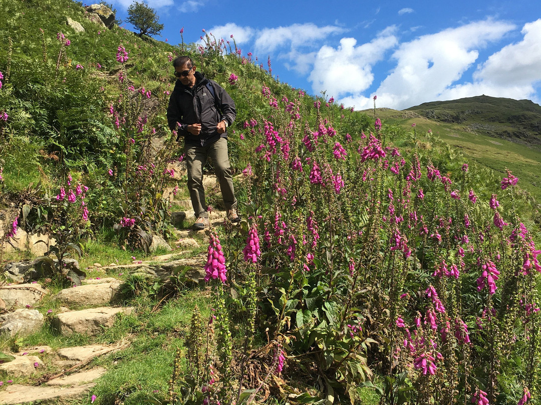 Crookabeck Bed & Breakfast主图