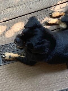 Kessem Bemaga Spa-Or Yehuda必去景点