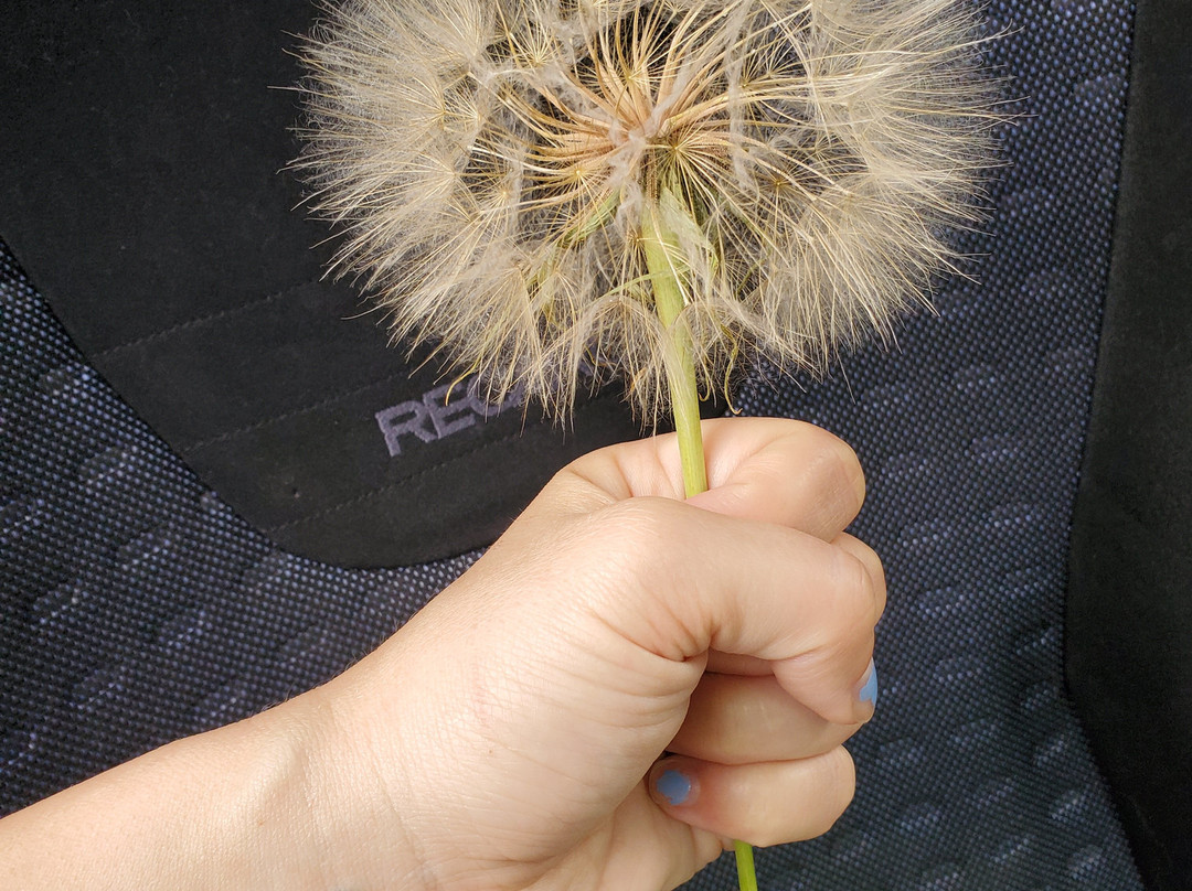 River Recreation Whitewater Rafting Day Trips-Monitor必去景点