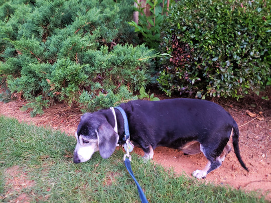 La Quinta Inn & Suites by Wyndham Kennesaw主图