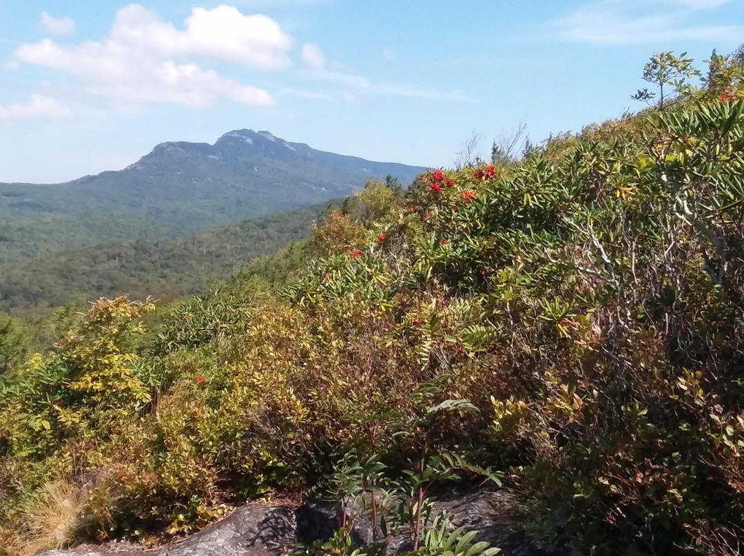 Flat Rock Trail景点图片