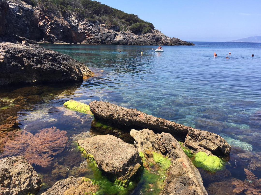 Cala Maestra-Giannutri Island必去景点