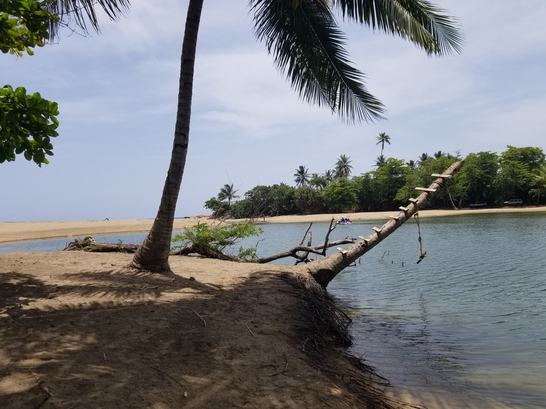 Verde Azul Surf & Stand Up Paddleboard Shop-Aguadilla必去景点