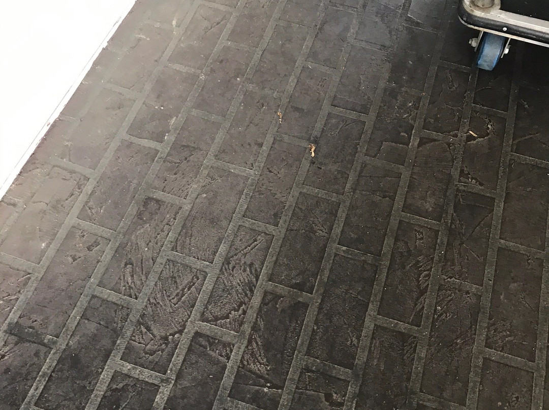 Super 8 by Wyndham Sevierville Riverside主图