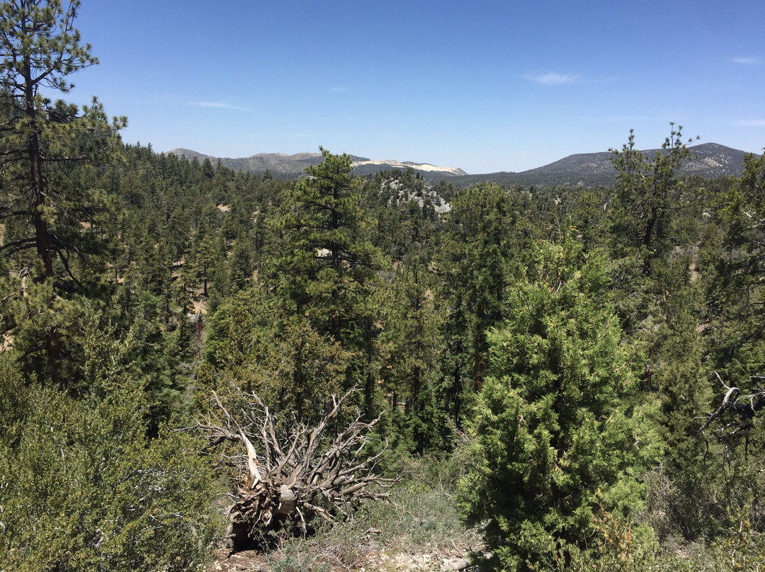 Cougar Crest Trail-大熊湖必去景点