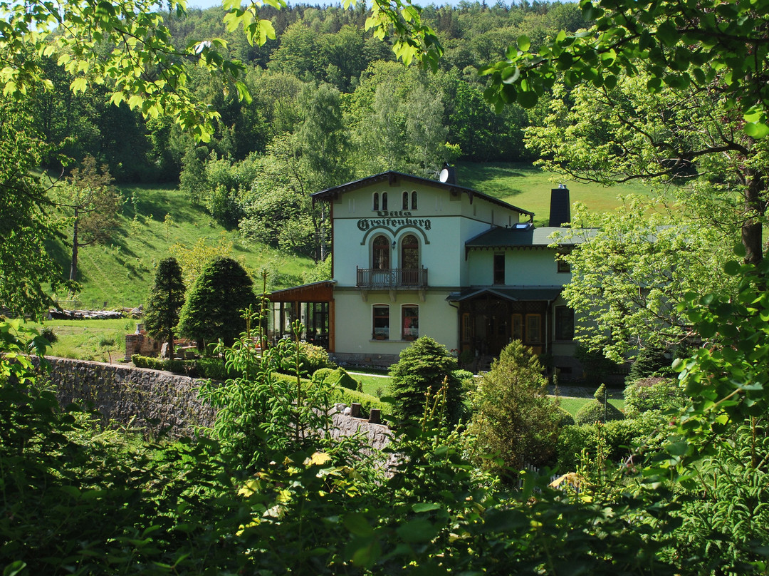 Villa Greifenberg主图