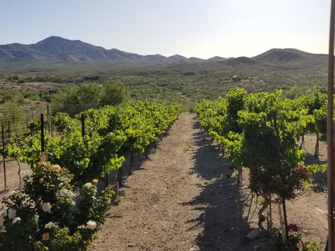 Charron Vineyards & Winery-Vail必去景点