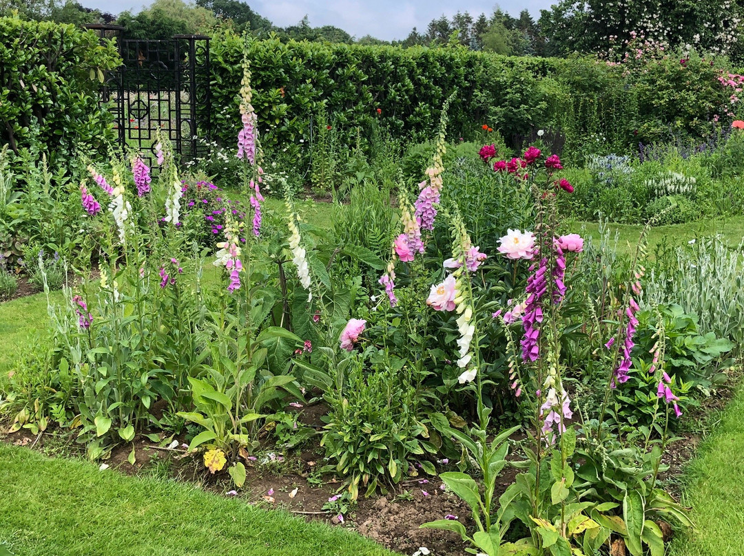 Hall Farm Garden景点图片
