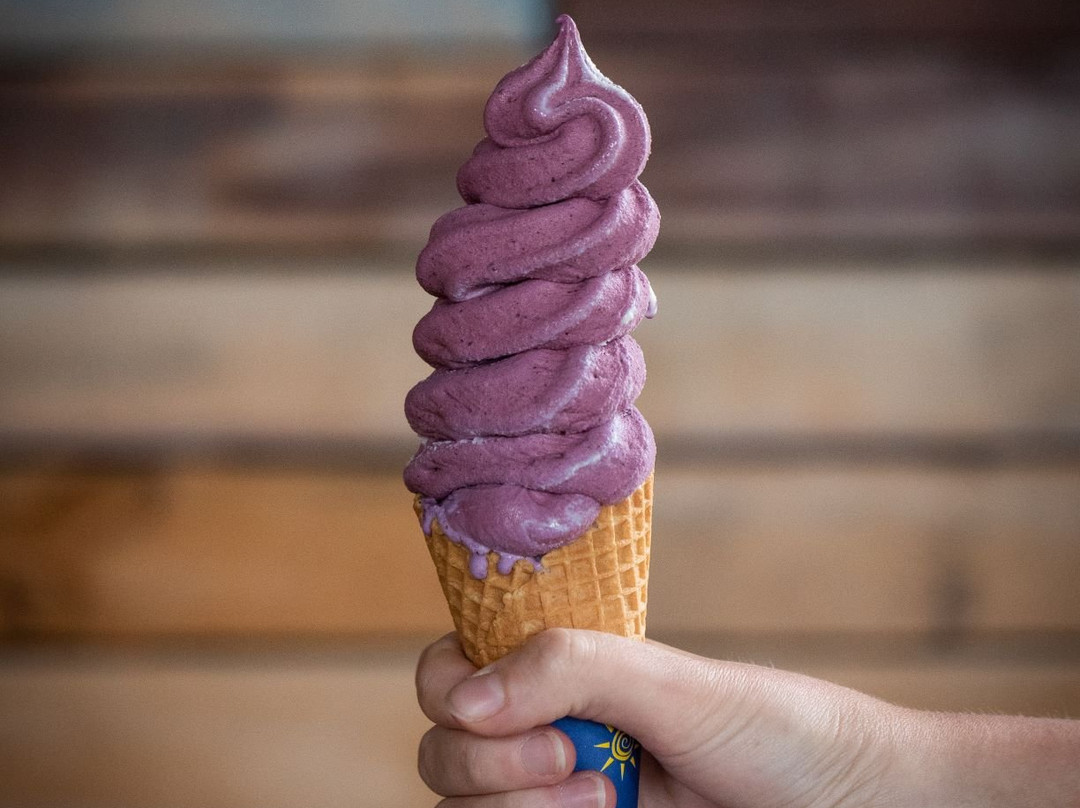 Blueberry Country Ltd.-Ngatea必去景点