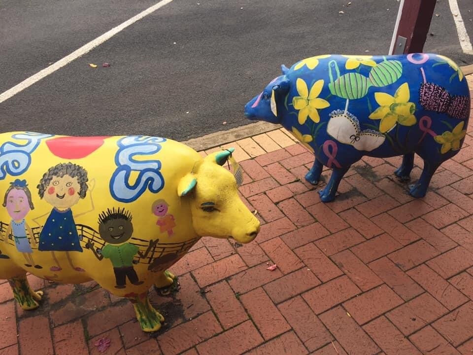 Sheep Art-Kaniva必去景点