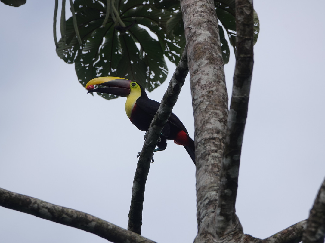 Casitas Tenorio B&B主图