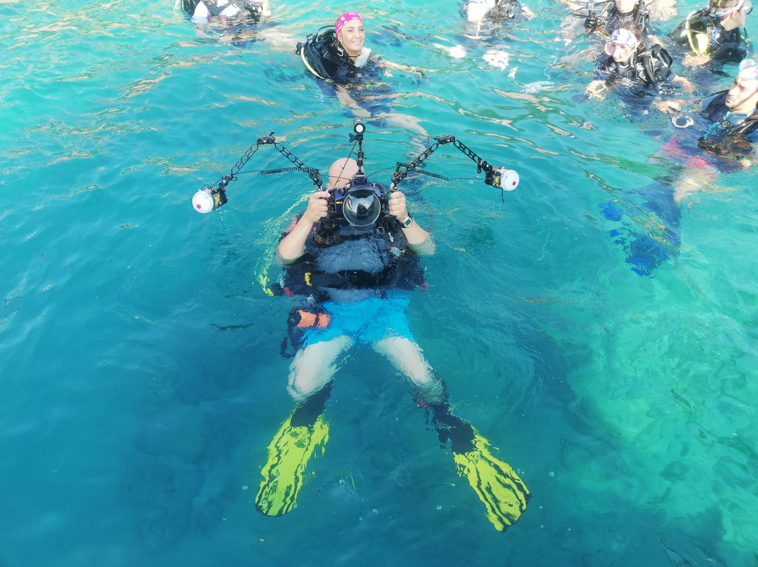Best Dive & Lifeguard Center-费特希耶必去景点