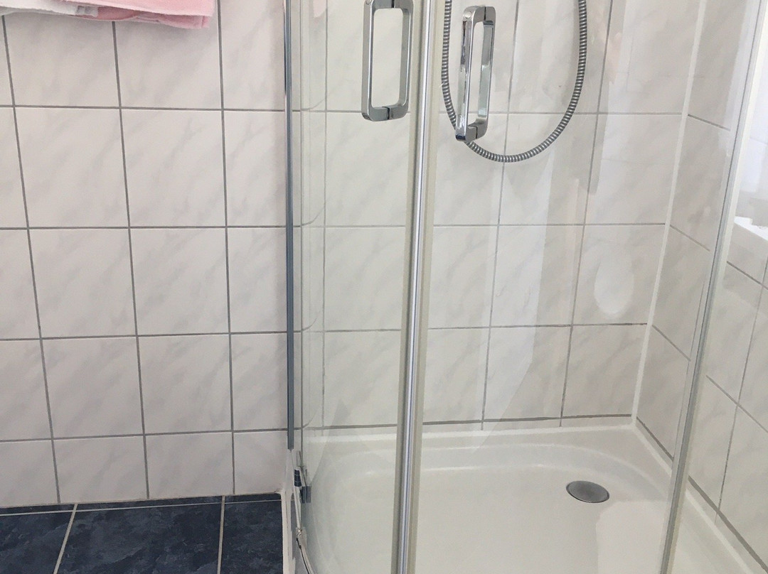 Hotel Waldhaus-Hutzelhoh主图