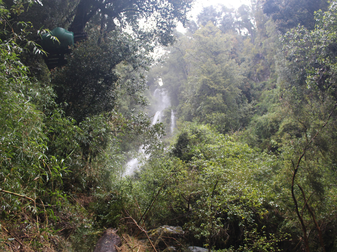 Cascada Velo de la Novia-Peulla必去景点