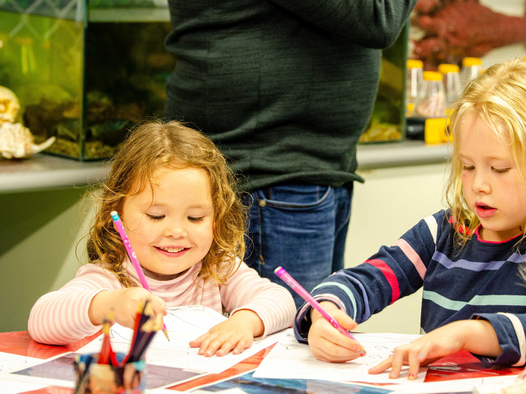 South Australia Whale Centre-维克多港必去景点
