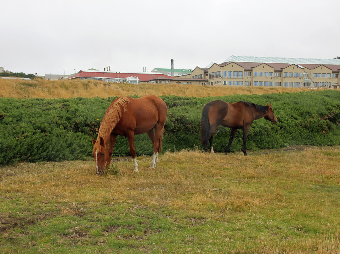 Government House-Stanley必去景点