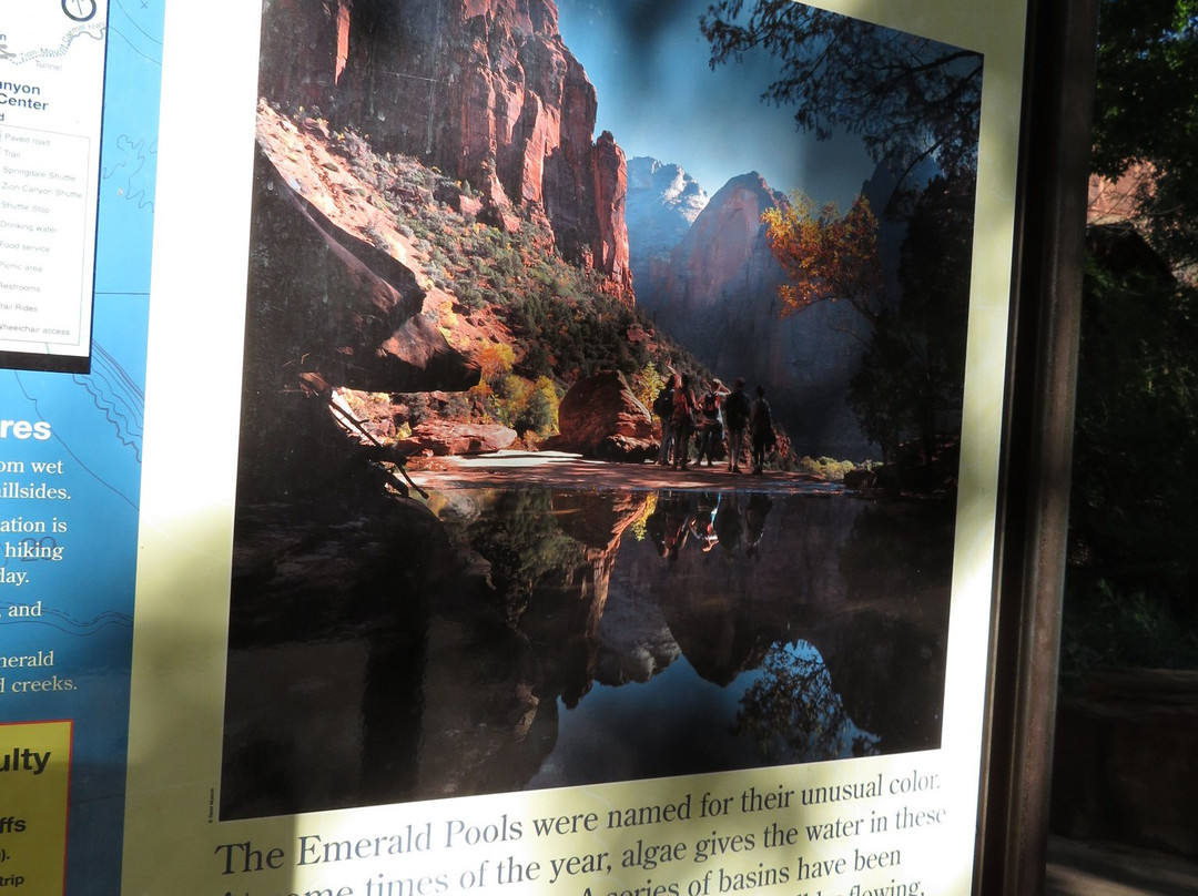 Zion Canyon Visitor Center-斯普林代尔必去景点