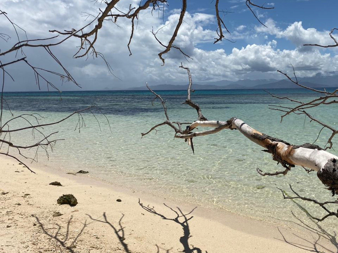 Signal Island-努美阿必去景点