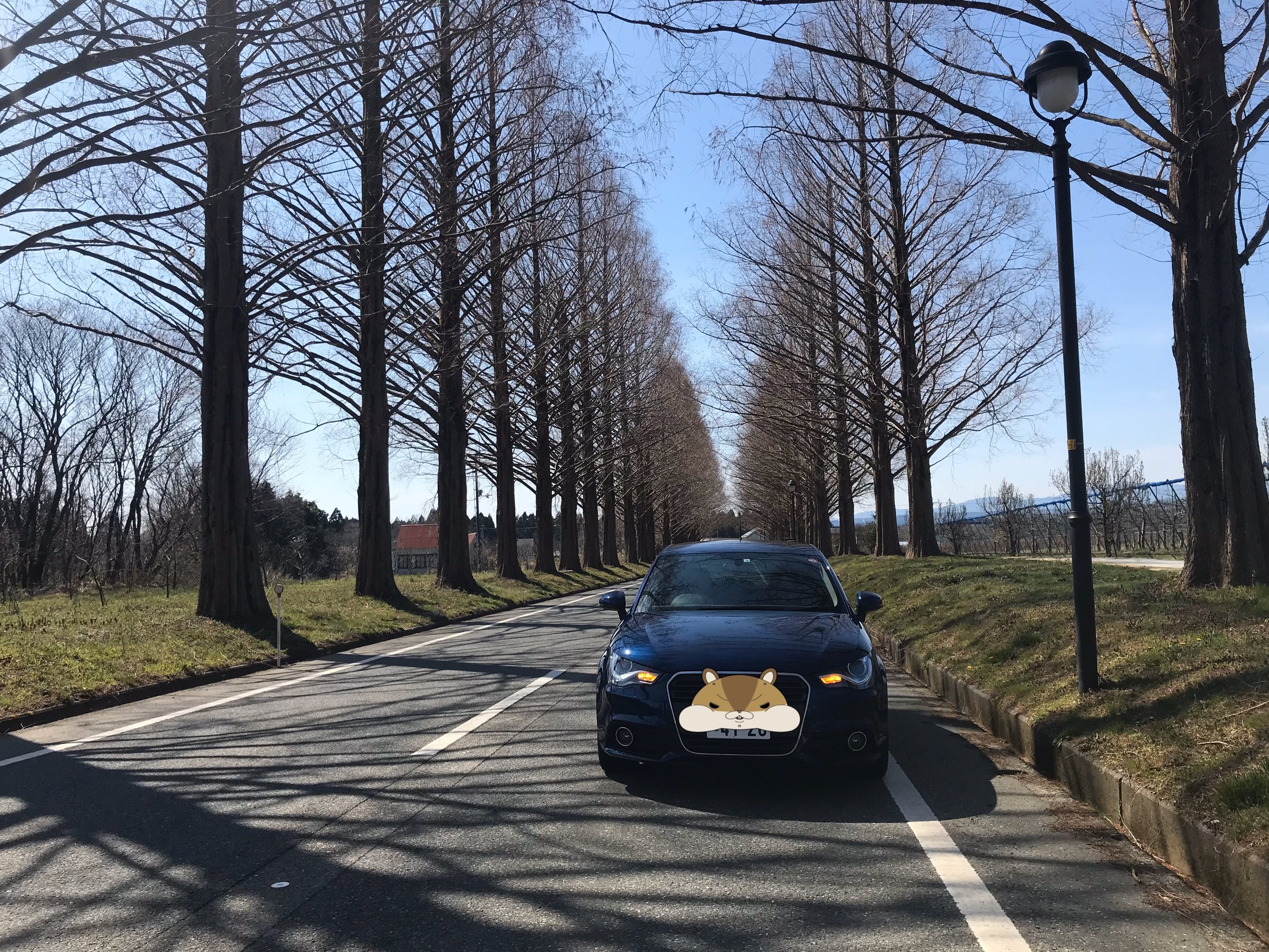 Okubiwako Makino Grand Park Hotel-官方