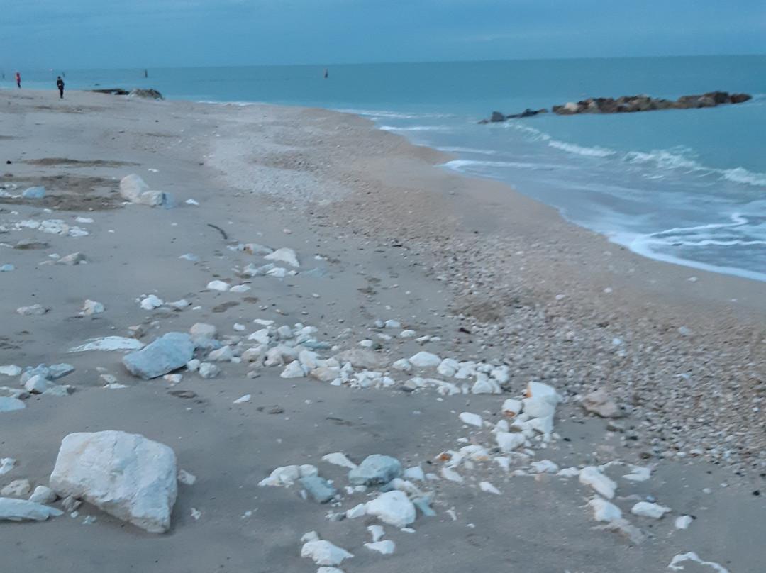 Spiaggia di Montemarciano景点图片
