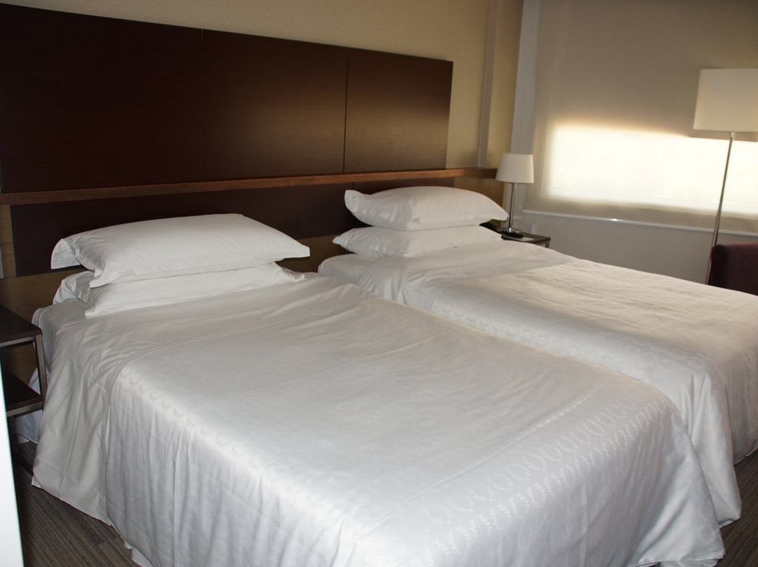 圣克里斯托瓦尔塔酒店主图