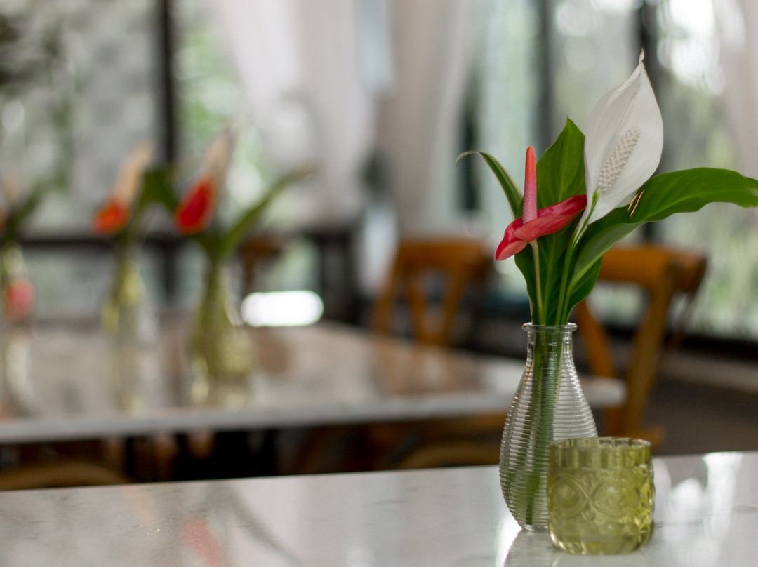 Pousada Chácara Arace主图