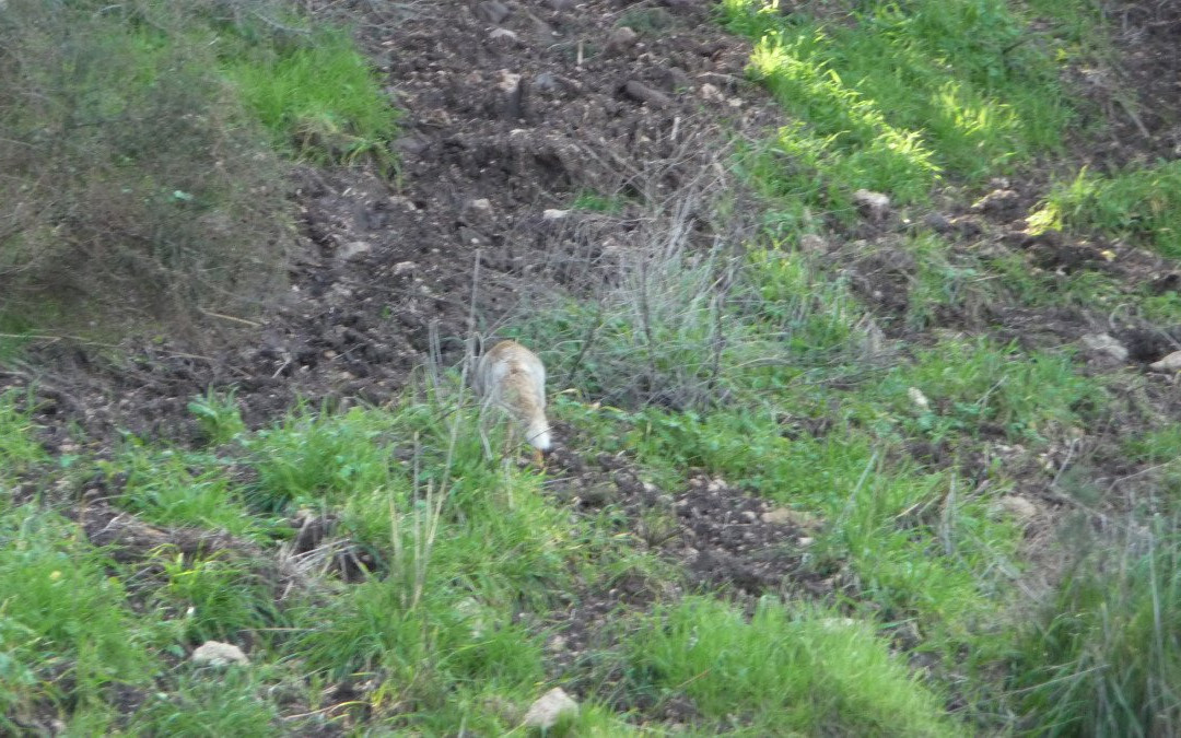 Nahal El Al-Avnei Eitan必去景点