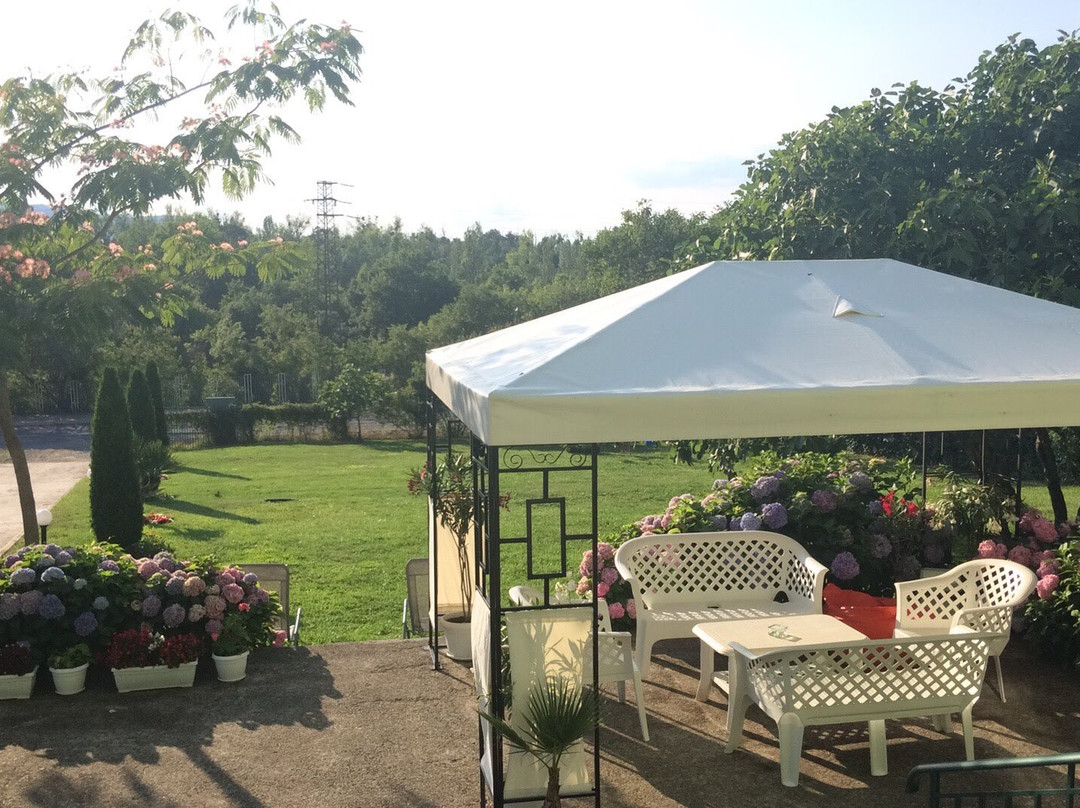 Guesthouse Kamelia主图