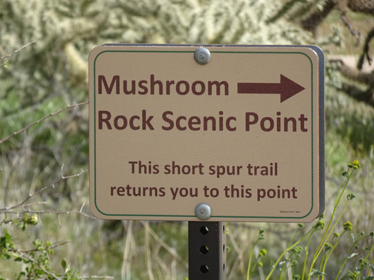 Marcus Landslide Trail-斯科茨代尔必去景点