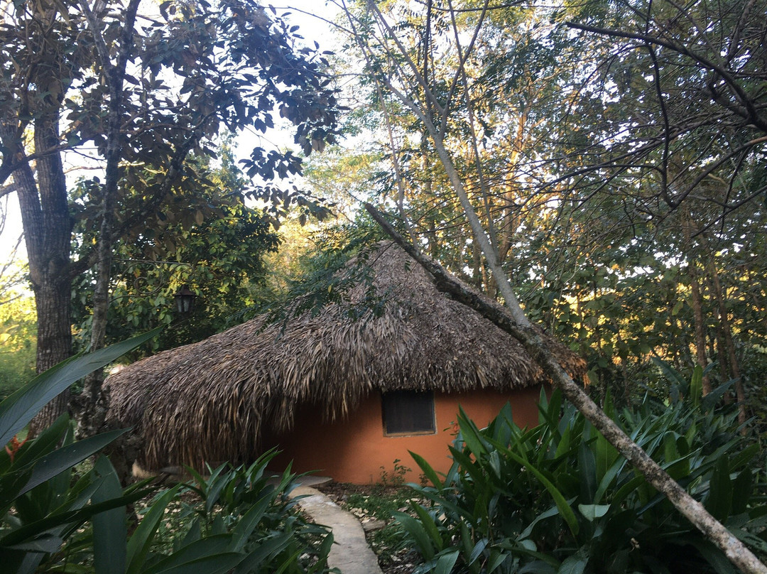 Hotel Casa Colombre Palenque主图