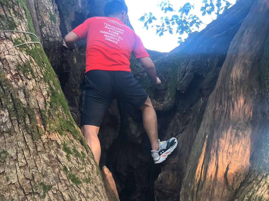 苏州西山-苏州市必去景点