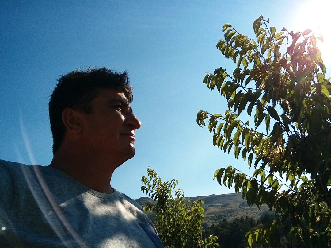 Seyyid Harun Mosque景点图片