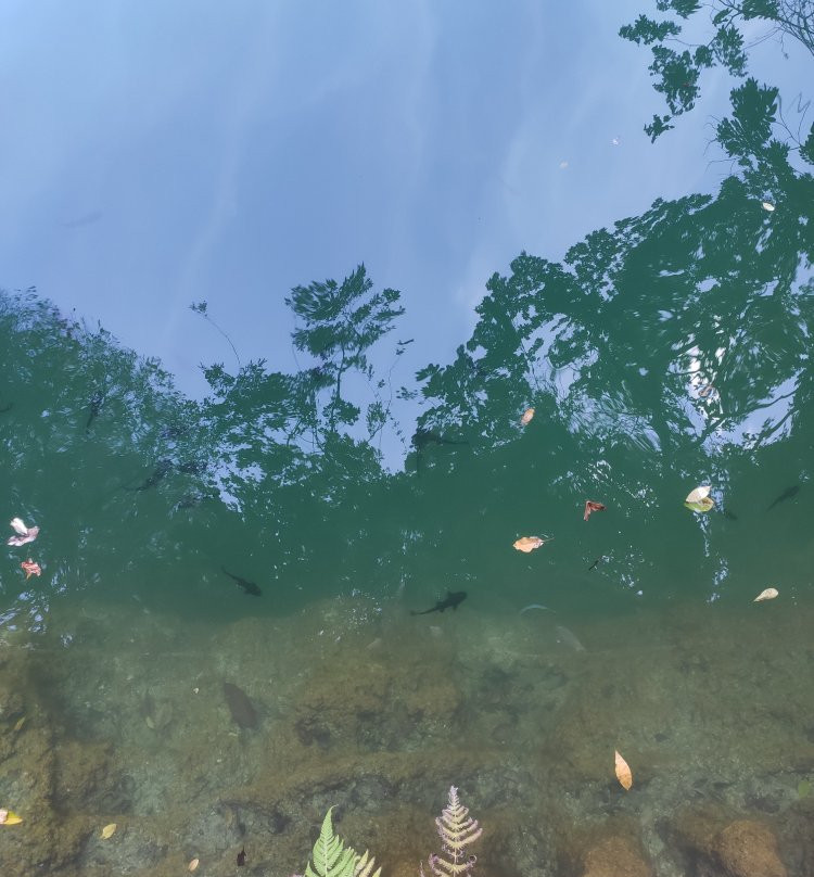 Cenote Kax Ek-Tinum必去景点