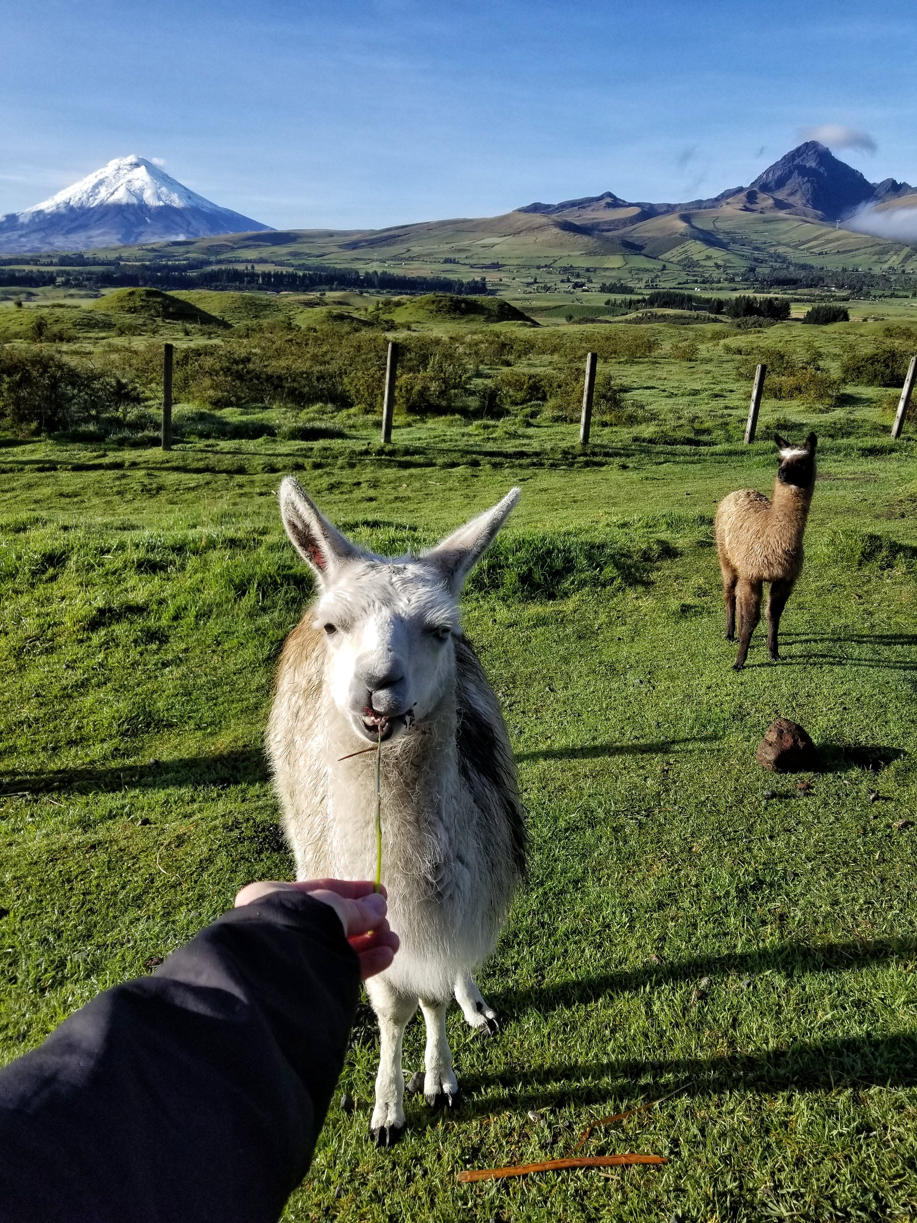 The Secret Garden Cotopaxi-浴室