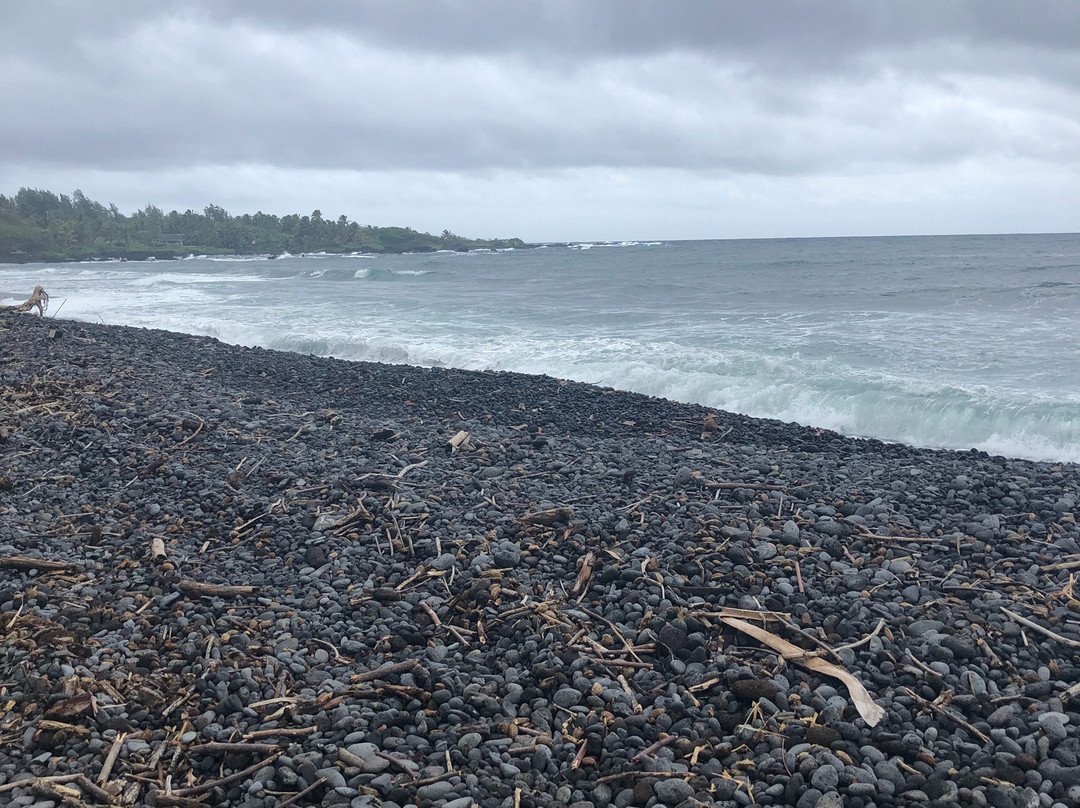 Bamboo Inn on Hana Bay主图