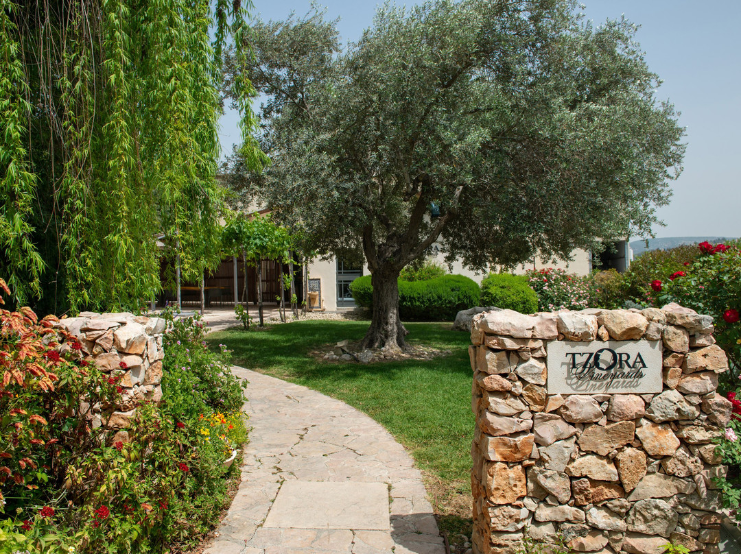 Tzora Vineyards