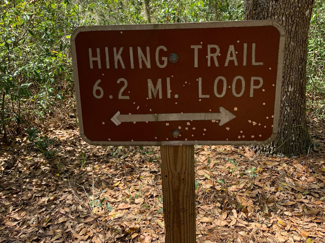 Little Manatee River State Park景点图片