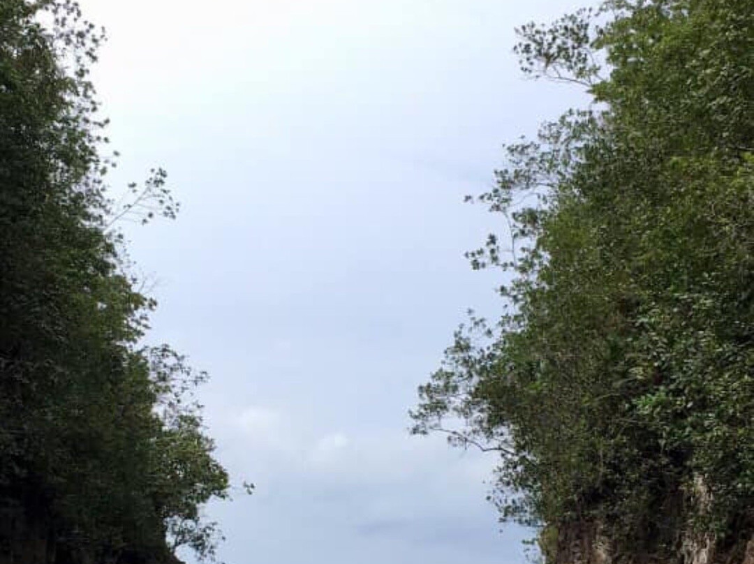 Bojo River-Aloguinsan必去景点