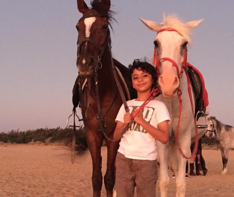 Egypt Horse Ride-赫尔格达必去景点