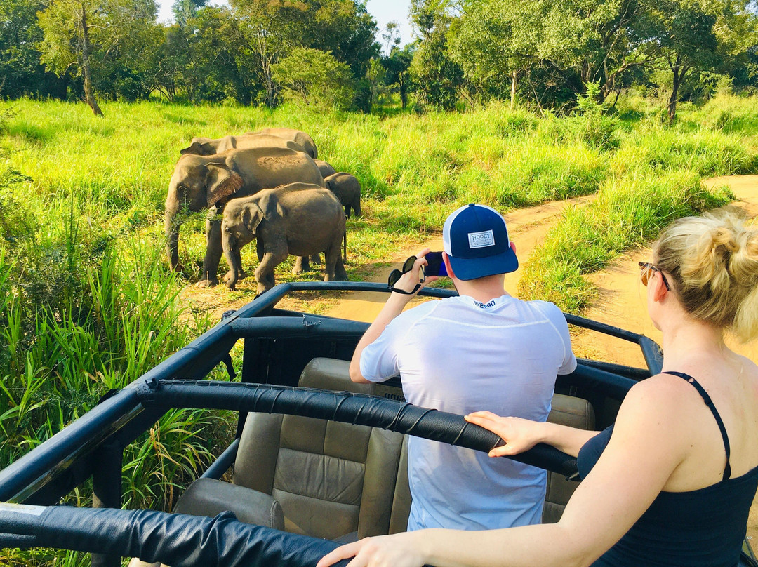 Sri Lanka Jeep Safari景点图片