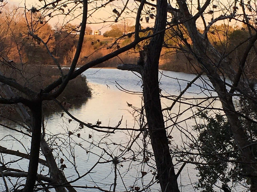 Lady Bird Johnson Municipal Park-弗雷德里克斯堡必去景点