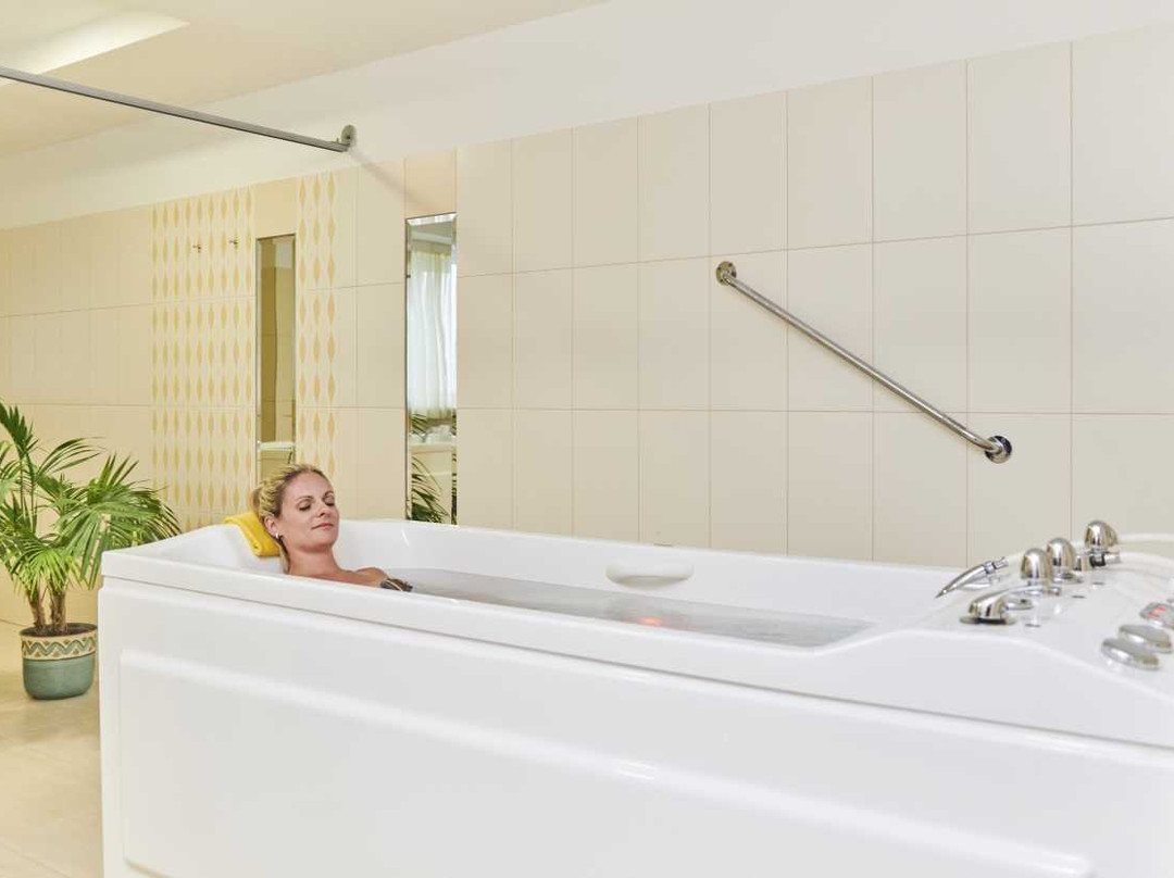 Hotel Komorni Hurka主图
