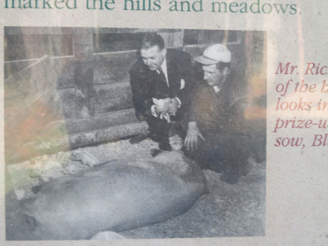 Russian Ridge Open Space Preserve-雷德伍德城必去景点