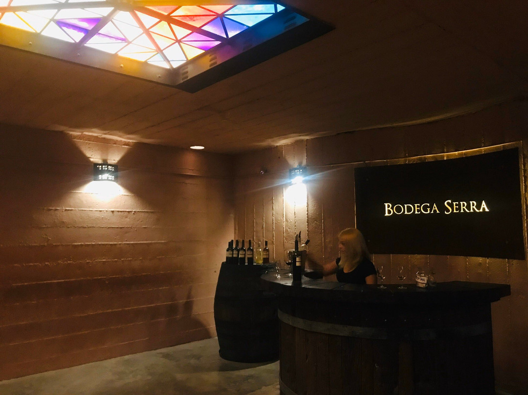 La Vieja Bodega-圣拉斐尔必去景点