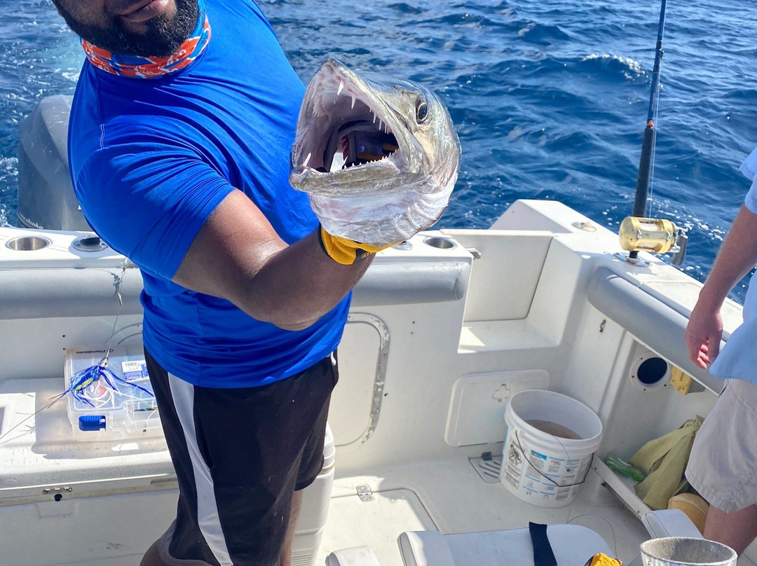 Blue Lane-Turtle Cove必去景点