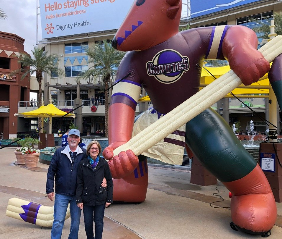 Desert Diamond Arena-格兰岱尔必去景点